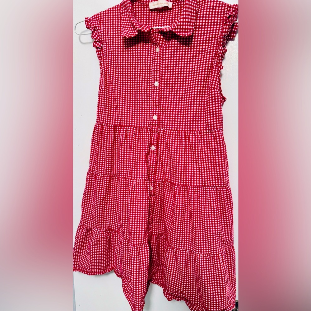 Cute Gingham Dress, Adult Small